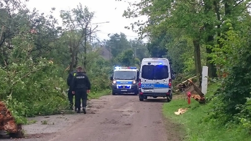Źródło: www.policja.pl