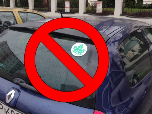 Młodzi kierowcy nie będą musieli jeździć z zielonym listkiem, źródło: materiały własne info-car.pl