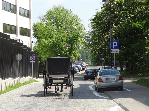 Pojazd zaprzęgowy na ulicy Wójtowskiej w Warszawie, źródło: materiały własne www.info-car.pl