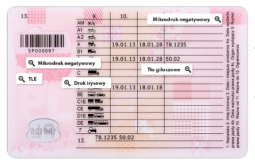 Rewers prawa jazdy, źródło: materiały własne www.info-car.pl