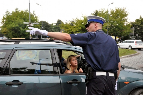 Źródło: www.policja.pl