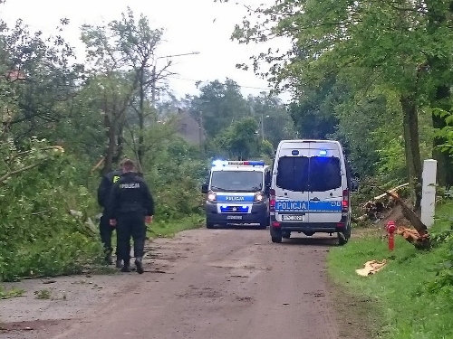 Źródło: www.policja.pl