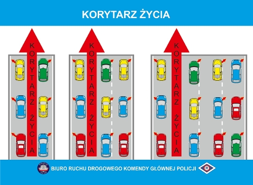 Źródło: www.policja.pl